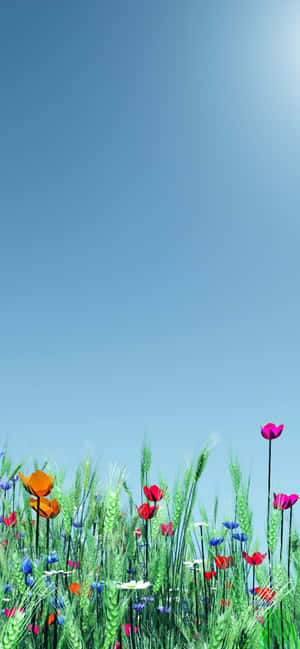 Pixel 3 Spring Background — Infinix Hot 60 Picha ya Ukuta