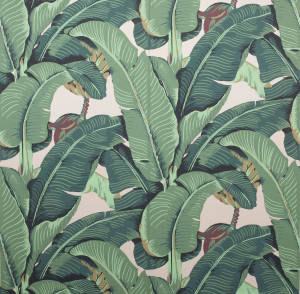 Sanaa ya Wivu wa Banana Lush wallpaper — Tecno Phantom V Flip Picha ya Ukuta