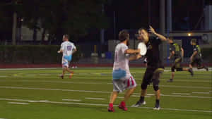 1920x1080 Mandhari ya Ultimate Frisbee