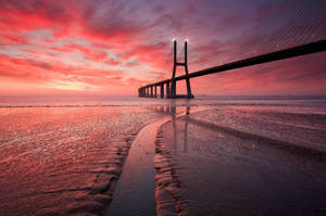 Vasco Da Gama Bridge Chromebook wallpaper