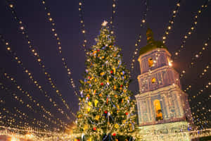 Picha nzuri za Krismasi — Nzuri ya Krismasi Picha ya Ukuta