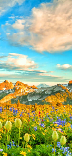 Pixel 3 Spring Background — Galaxy A08 Picha ya Ukuta