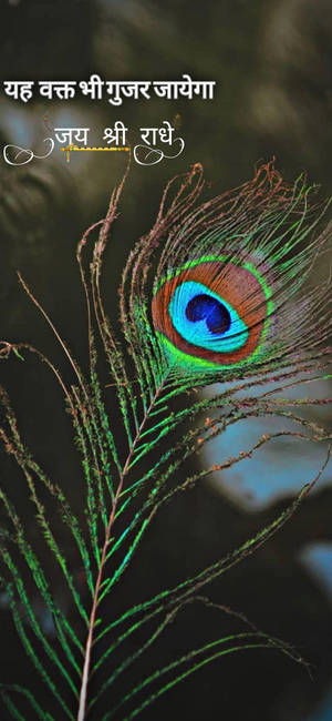 Shree Ram Peacock Feather — Galaxy Note Picha ya Ukuta