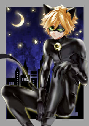 Picha za Cat Noir