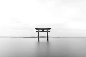 Picha za Grey Aesthetic — Aesthetic ya kijivu Picha ya Ukuta