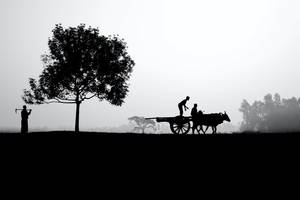 Silhouette farm life wallpaper — Subuhi Picha ya Ukuta