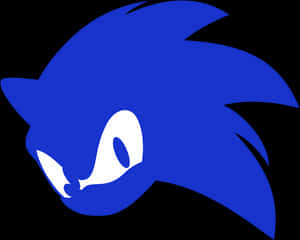 Nembo za Kichwa cha Sonic - Соник Лого — Sonic the Hedgehog Picha ya Ukuta