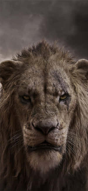 Lion background — Moto E Picha ya Ukuta