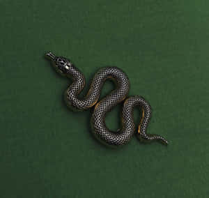 Picha za Slytherin Aesthetic