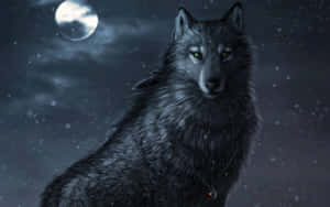 Galaxy Wolf background — Mbwa mwitu wa galaksi Picha ya Ukuta