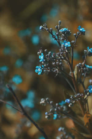 Small Buds Blue Flowers Phone — Huawei MatePad 11.5 (2025) Picha ya Ukuta