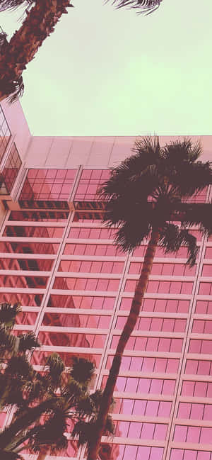 Aesthetic Baby Pink — Xiaomi 17 Max Picha ya Ukuta