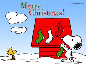 Mandhari ya Soksi za Krismasi za Nyumba ya Snoopy
