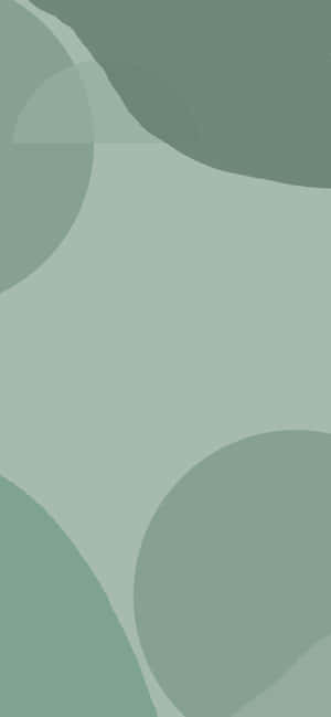 Sage Green Aesthetic pictures — Galaxy S25 FE Picha ya Ukuta
