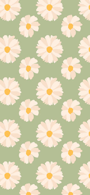 Spring Iphone Daisies Green Background — iPhone 18 Pro Max Picha ya Ukuta