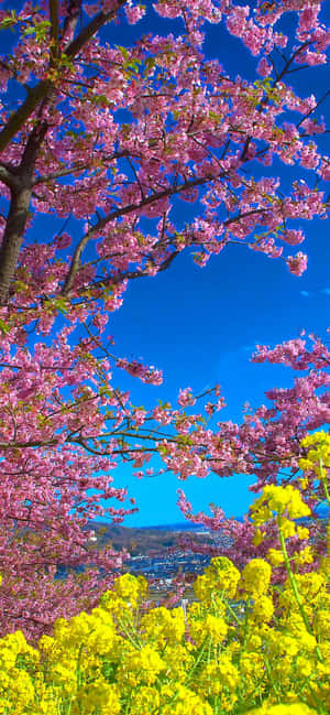 Pixel 3 Spring Background — Galaxy M Picha ya Ukuta