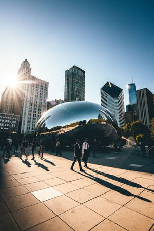 Sunny The Bean Chicago — Huawei MatePad Picha ya Ukuta
