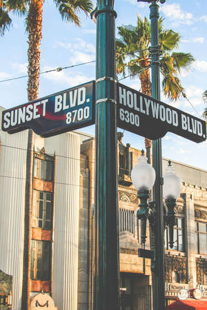 Sunset Boulevard Na Hollywood Boulevard wallpaper