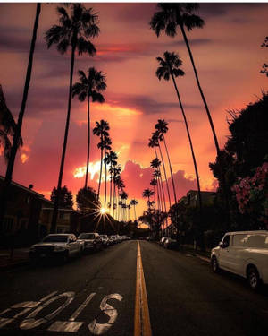 Sunset Boulevard Siri ya Machungwa Mwangaza wallpaper