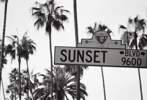 Sunset Boulevard Sefu na Weusi wallpaper