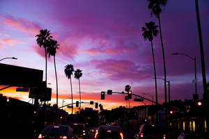 Sunset Boulevard Sama Mwanga wallpaper