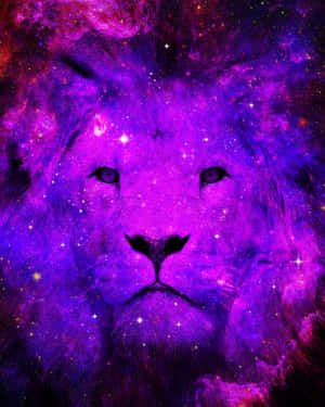 Sura ya Simba wa Galaxy — Galaksi simba Picha ya Ukuta