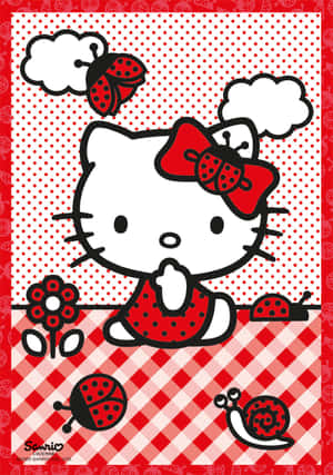 Picha za Hello Kitty — Hello kitty GIF Picha ya Ukuta