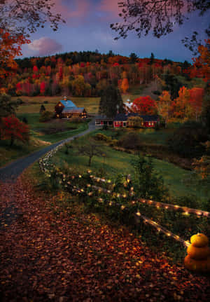 Beautiful Autumn Pictures — Oppo Pad 5 Picha ya Ukuta