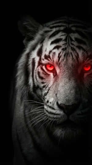 Tembea Mwekundu Inayong'aa,Tiger Mweupe,Tiger Iphone,Tiger Aesthetic,Dark 4k,Fantasy,Tembea Mwekundu,Animal,phone wallpaper,