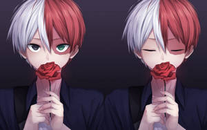 Todoroki Mzuri Anayepeana Rose Nyekundu wallpaper — Todoroki mzuri Picha ya Ukuta
