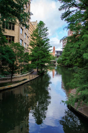 Trees Along San Antonio River Walk — Huawei MatePad 11.5 S (2025) Picha ya Ukuta