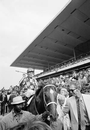 Secretariat Happy Crowd wallpaper — Oppo Pad 4 Pro Picha ya Ukuta