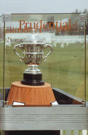 Trophy ya Cricket ya Fedha ya Kifahari wallpaper — Honor MagicPad4 Picha ya Ukuta