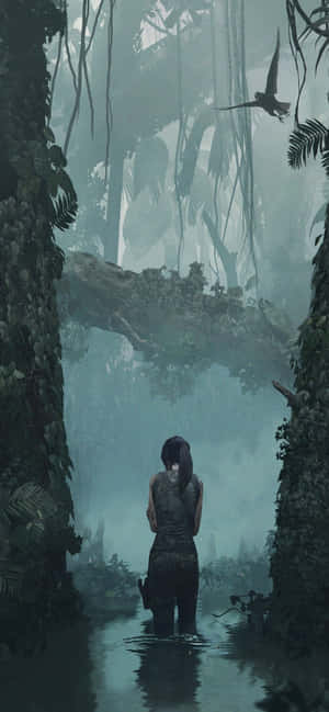 Iphone Xs Max Rise Of The Tomb Raider Background — Redmi 15C Picha ya Ukuta