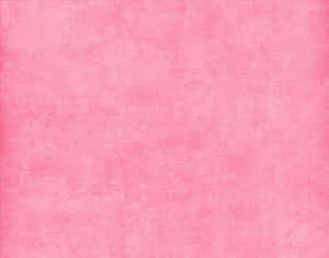 Mandhari ya waridi maridadi — Pink nyepesi ya urembo Picha ya Ukuta