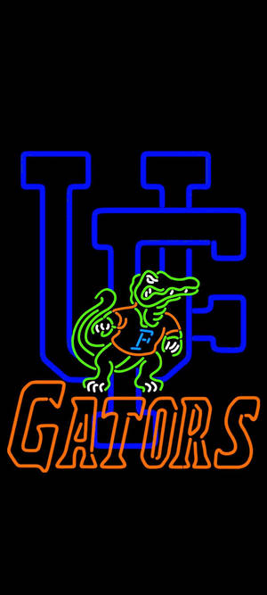 Picha ya University Of Florida Gators Neon Lights.