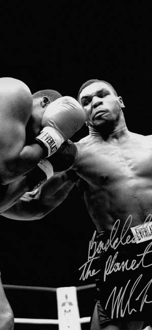 Boxing ya Baridi — iPhone Xs Picha ya Ukuta