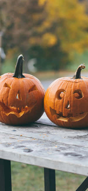 Usiku wa Kimuujiza wa Halloween — Sikukuu ya Wanyama Picha ya Ukuta