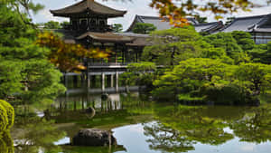 Picha za Japani — Japan GIF Picha ya Ukuta