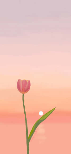 Mandhari ya Tulip — Motorola ThinkPhone Picha ya Ukuta