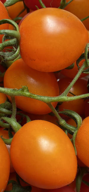 Fresh Orange Tomatoes wallpaper — iPhone 15 Pro Picha ya Ukuta