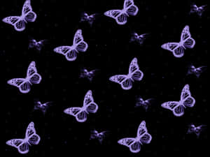 Aesthetic Computer background