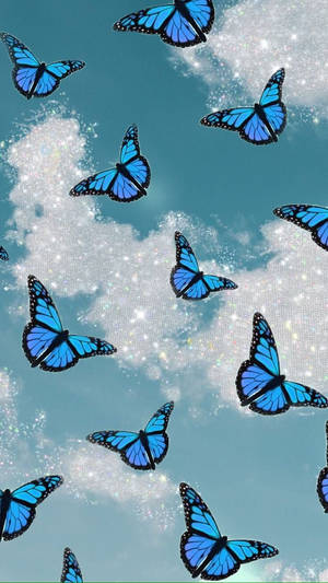 Vipepeo Wastani wa Bluu Sawa