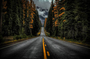 Washington State Route 410 wallpaper — Magharibi Picha ya Ukuta