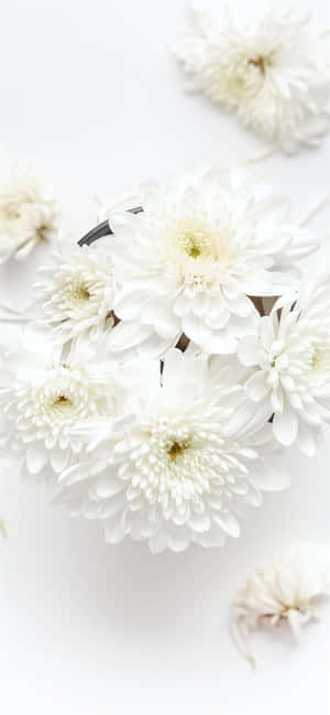White Iphone Background — Huawei Mate XTs Ultimate Picha ya Ukuta