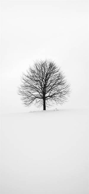 White iPhone Leafless Tree — Galaxy S25 FE Picha ya Ukuta