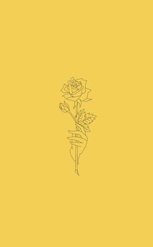 Yellow Rose Aesthetic Sketches — Moto Pad 60 Pro Picha ya Ukuta