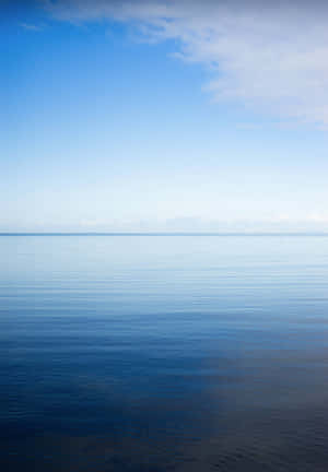 Serene Background