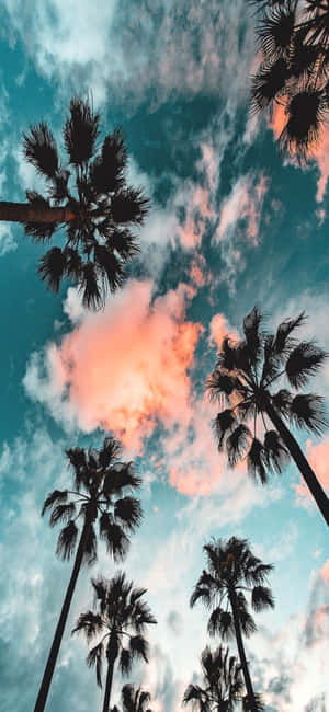 Iphone X California Background — Galaxy M Picha ya Ukuta